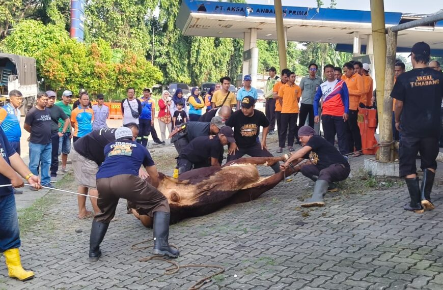 Dishub DKI Jakarta Tebar Kepedulian di Iduladha 1447…