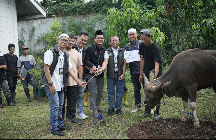 Idul Adha 1447 H, Pegadaian Kanwil VIII Jakarta 1 Bagikan 1.800 Paket Daging Kurban