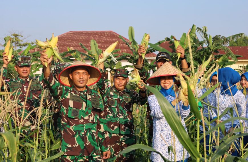Panen Raya Serentak, Danlanal Dumai Perkuat Ketahanan Pangan…