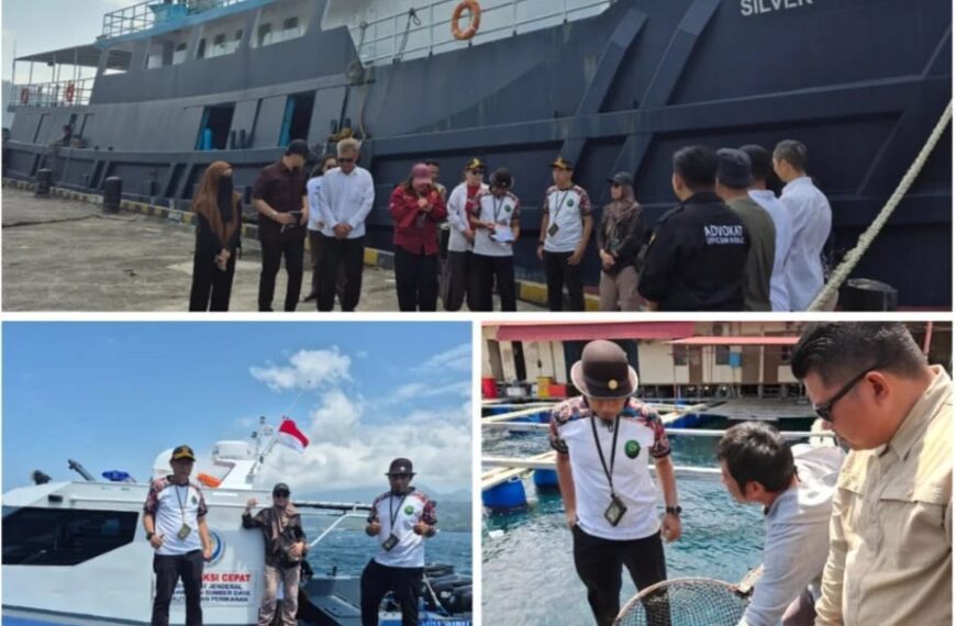 1.337 Ekor Ikan Napoleon Dicek Majelis Hakim Pengadilan Negeri Bitung