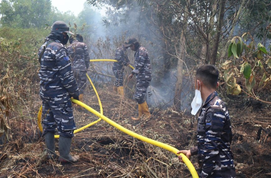 Aksi Cepat Lanal Banjarmasin Padamkan Kebakaran Hutan Gambut di Kabupaten…