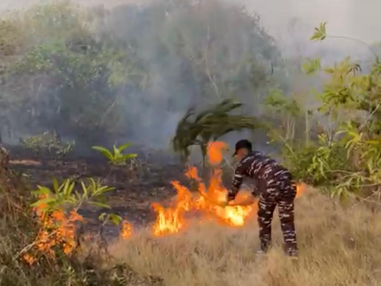 Gerak Cepat TNI AL, Personel Posbinter Pulau Penyengat Lanal Bintan Turun Tangan Padamkan Karhutla Cegah Api Meluas
