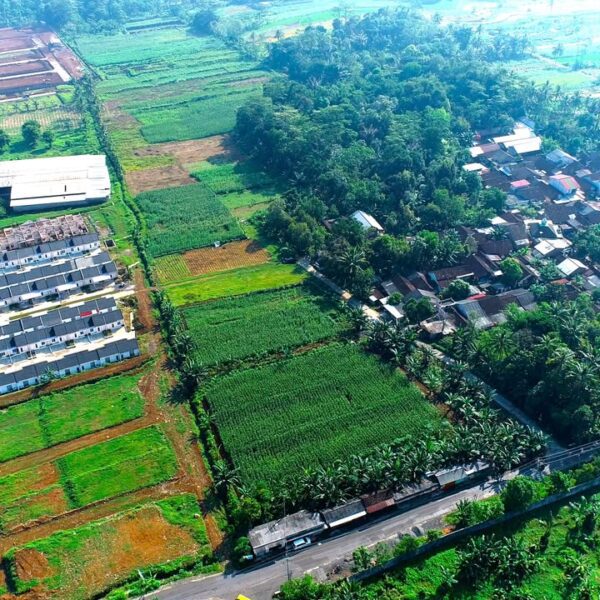 Lampaui Target, LP2B Capai 87,63% di Momen Peringatan&hellip;