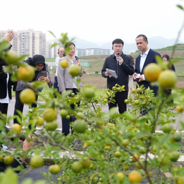 Pelajari Pertanian Berbasis AI di Chongqing, Iftitah Dorong…