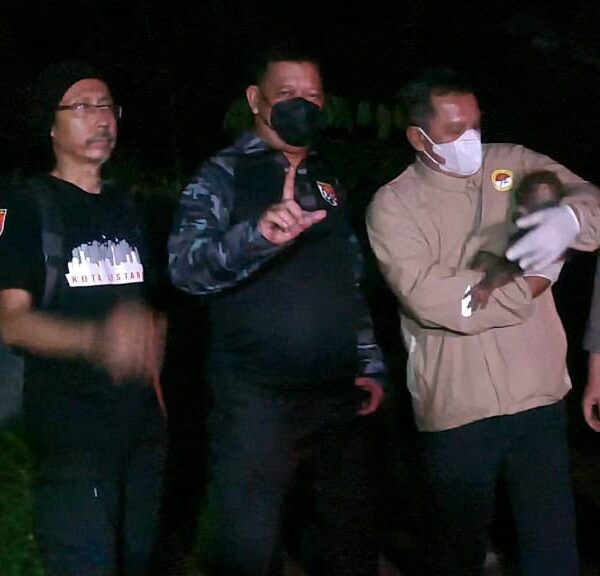 Polisi Selamatkan Induk dan Anak Orang Utan Terdampak&hellip;
