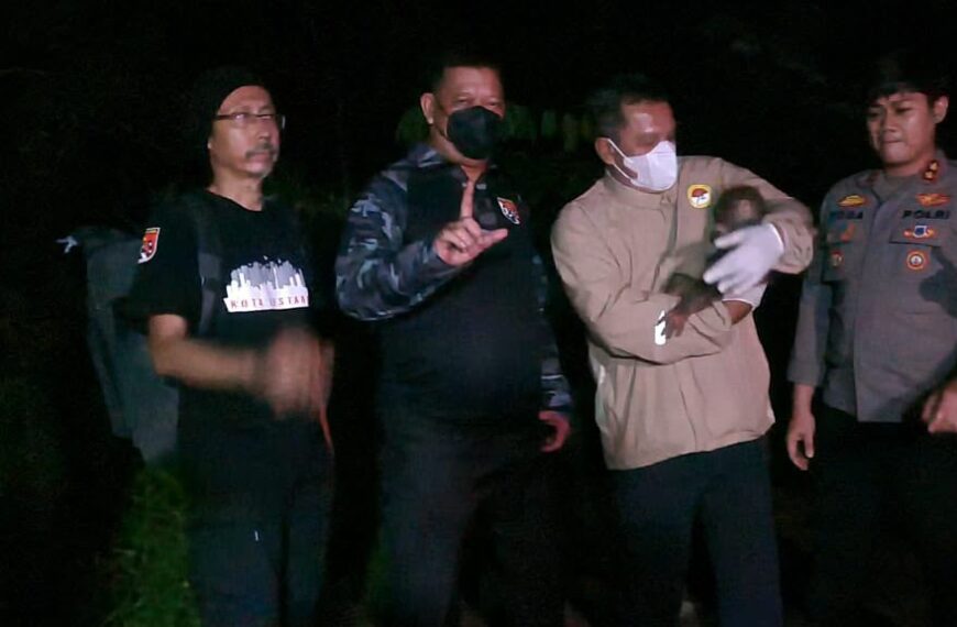 Polisi Selamatkan Induk dan Anak Orang Utan Terdampak Karhutla di&hellip;