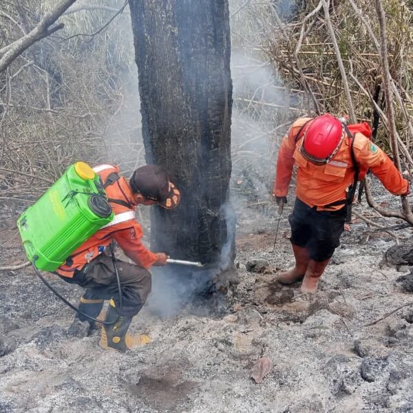 Perkembangan Situasi dan Penanganan Bencana di Tanah Air…