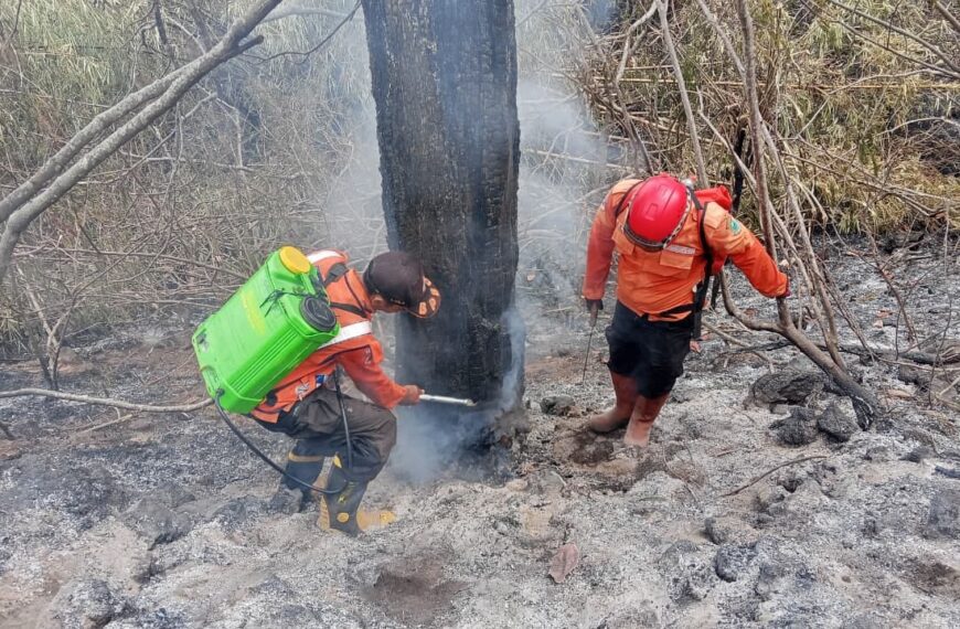 Perkembangan Situasi dan Penanganan Bencana di Tanah Air 25 Oktober…