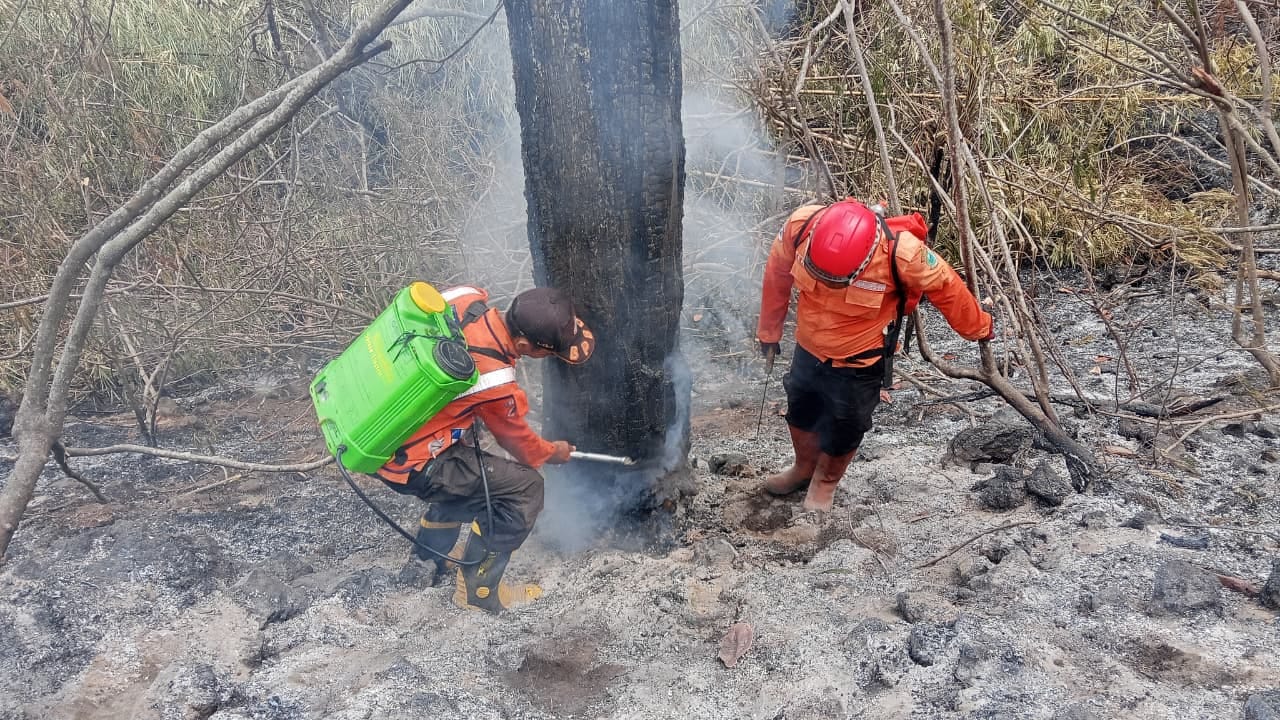 Perkembangan Situasi dan Penanganan Bencana di Tanah Air 25 Oktober 2026