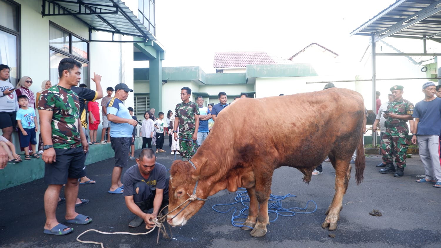 Dandim 0507/Bekasi Serahkan Hewan Kurban, Jadikan Idul Adha Sebagai Momentum Meningkatkan Ketakwaan dan Keikhlasan Beribadah